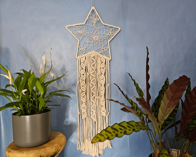 Star dreamcatcher 